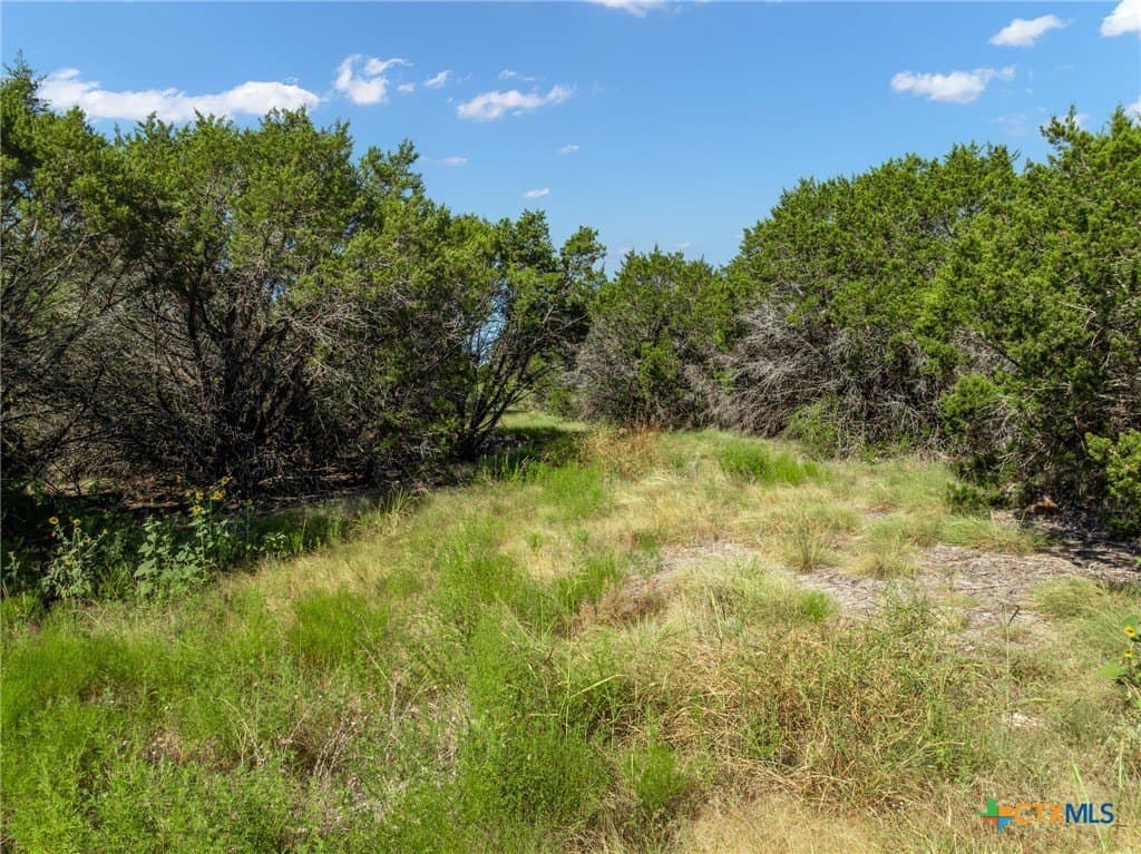 3.19 acres in Coryell County - photo 19