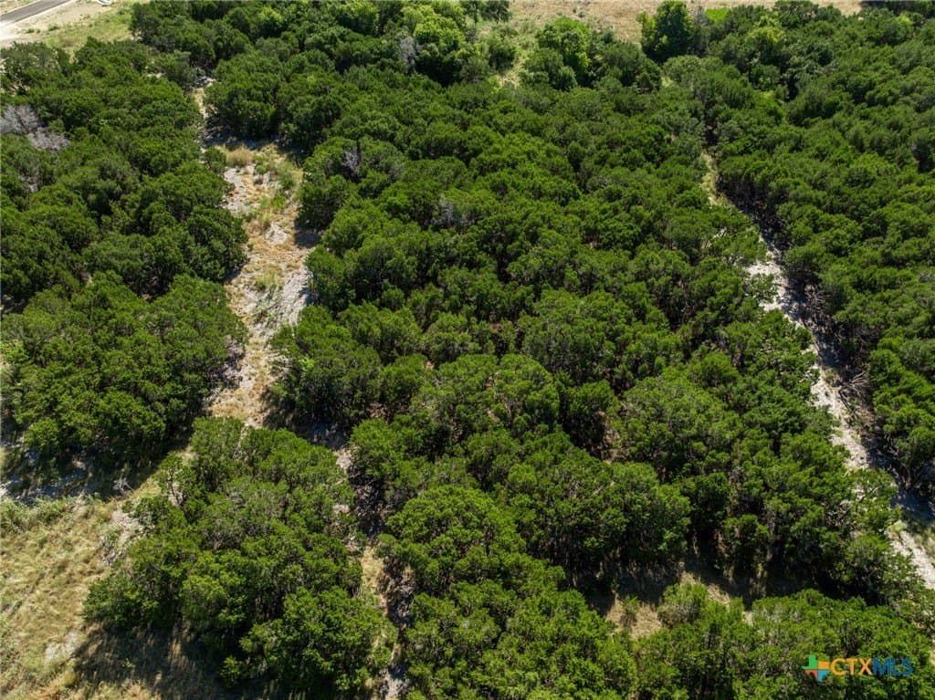 3.19 acres in Coryell County - photo 25