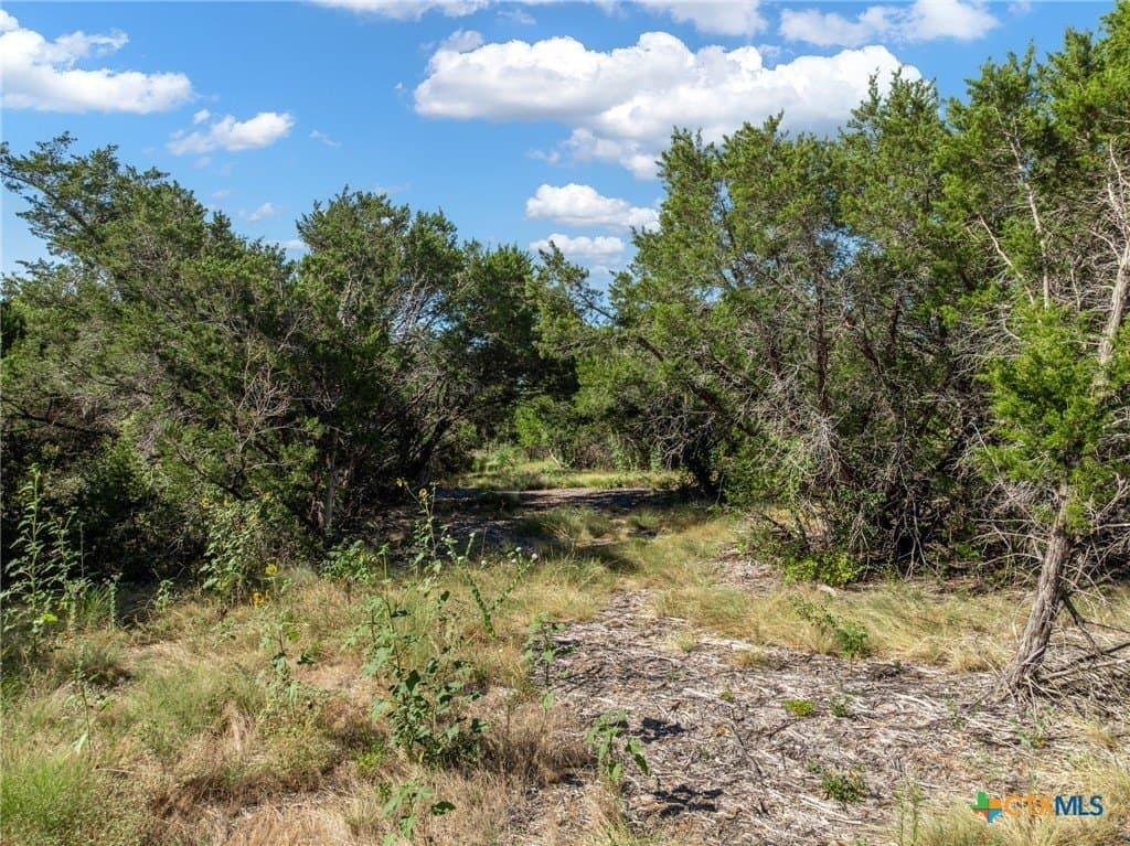 3.19 acres in Coryell County - photo 20