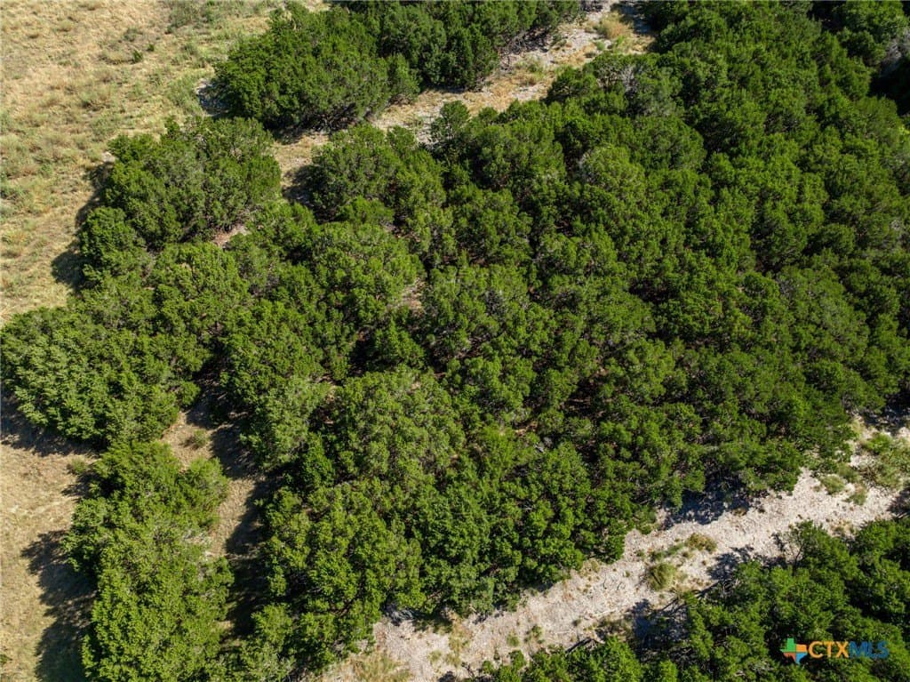 3.19 acres in Coryell County - photo 24