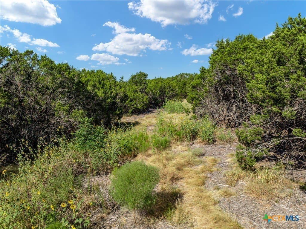 3.19 acres in Coryell County - photo 22