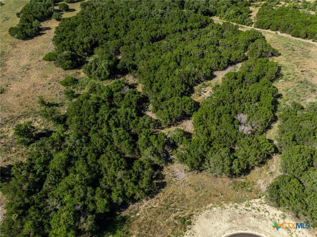 3.19 acres in Coryell County - photo 16