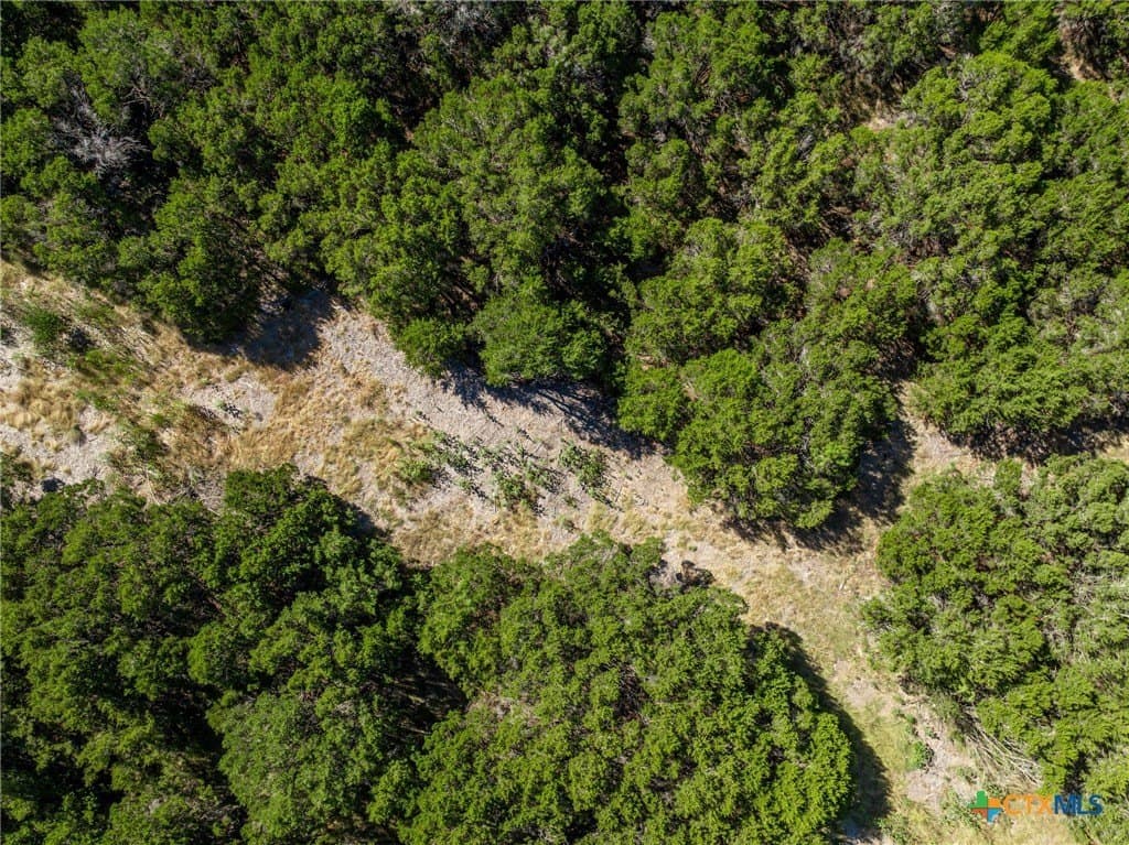 3.19 acres in Coryell County - photo 29