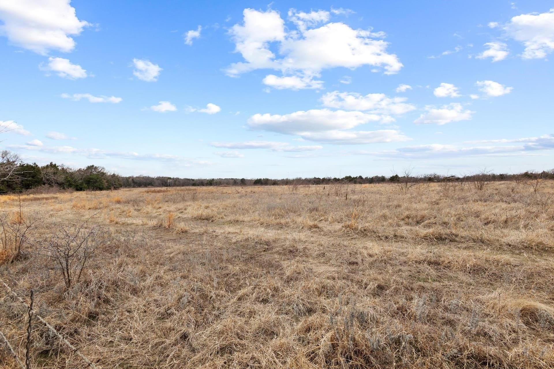 50.5 acres in Grayson County - photo 15