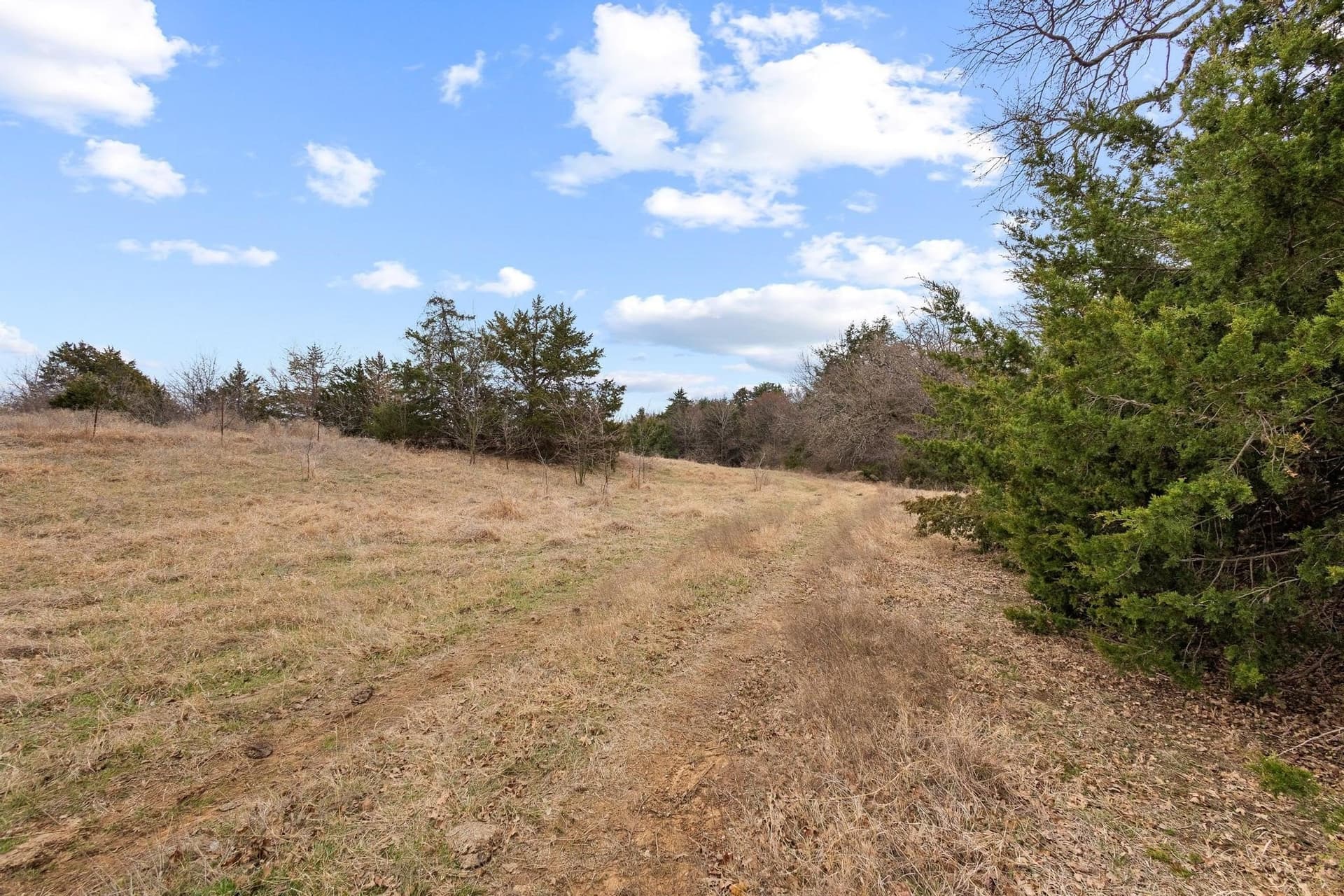 50.5 acres in Grayson County - photo 19
