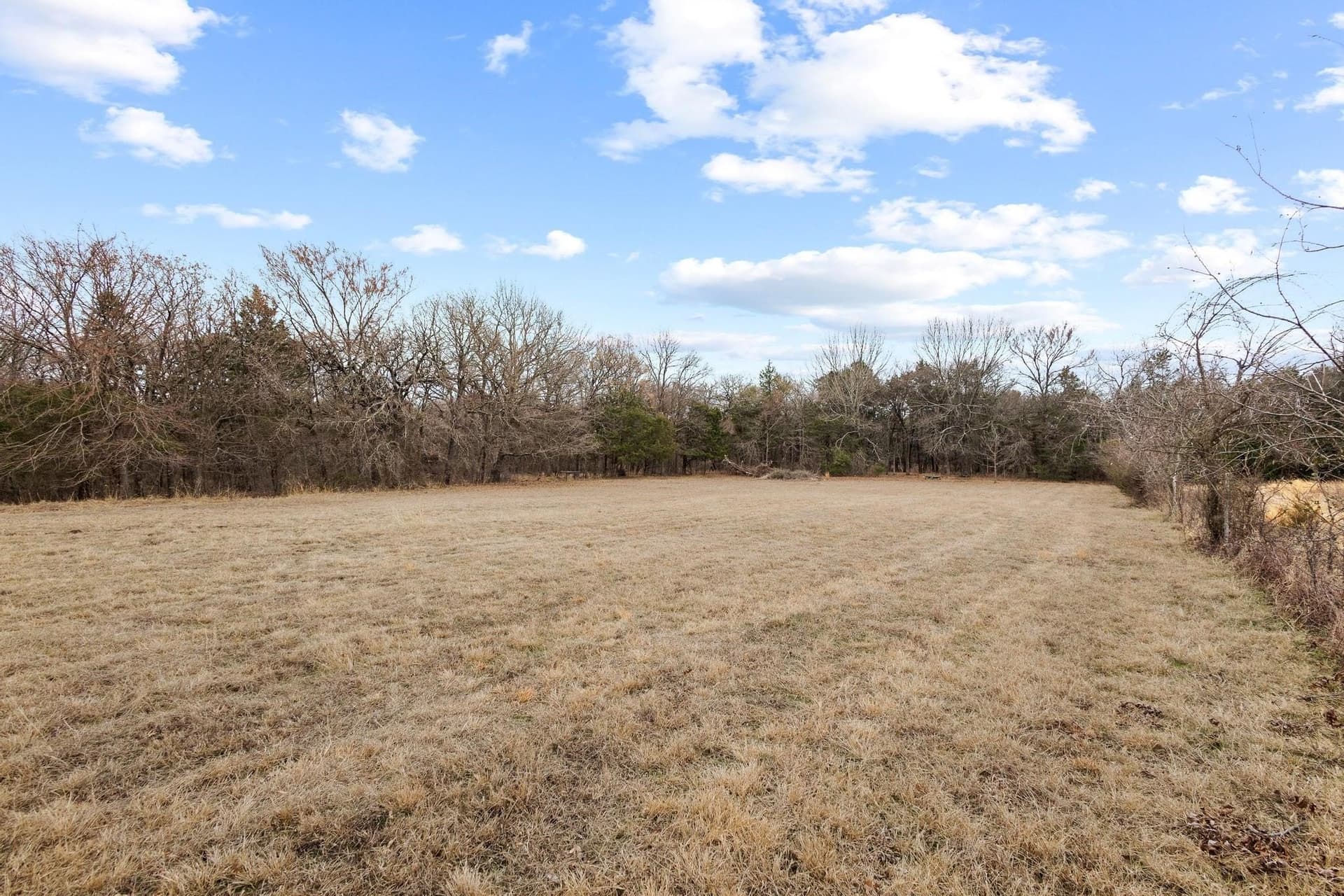 50.5 acres in Grayson County - photo 12