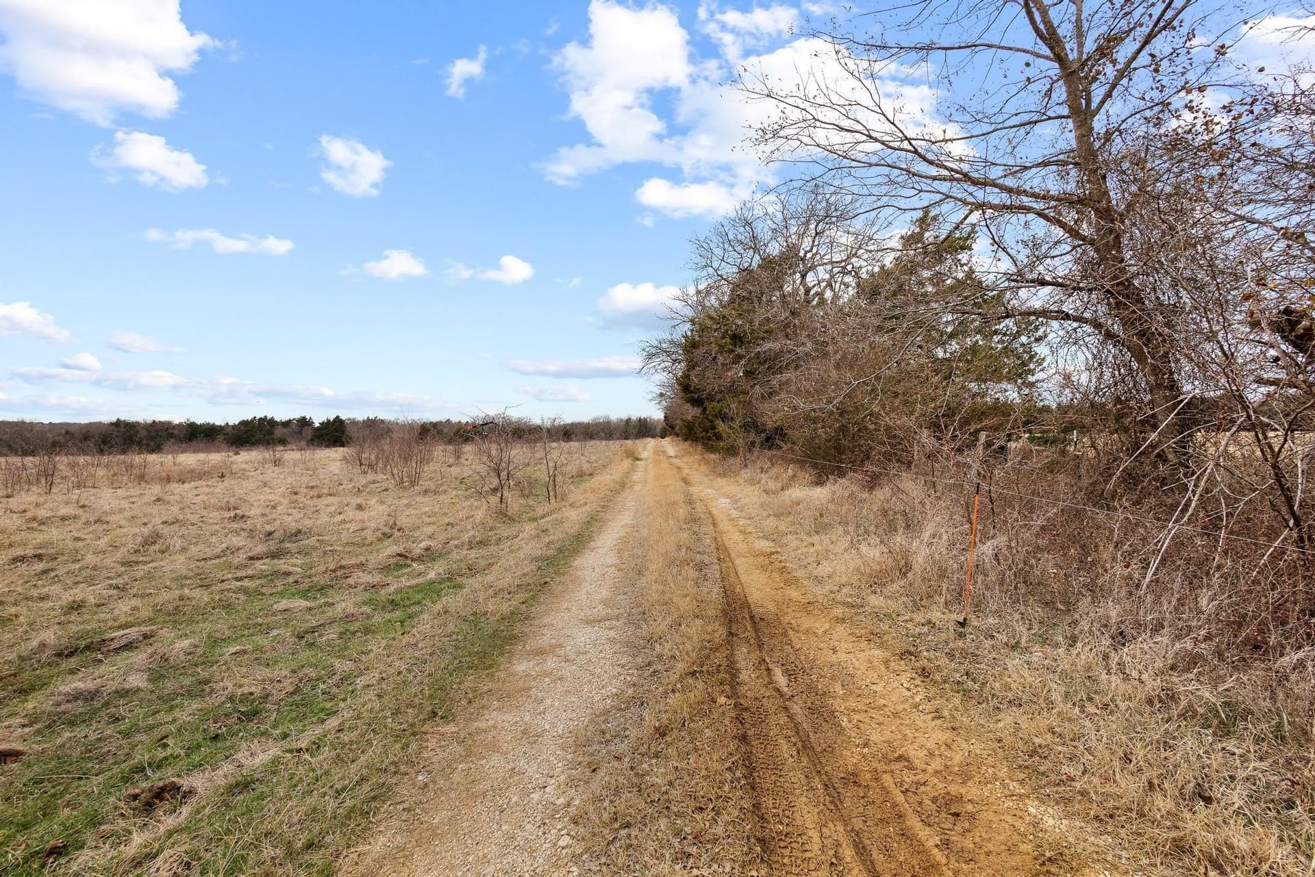 50.5 acres in Grayson County - photo 18