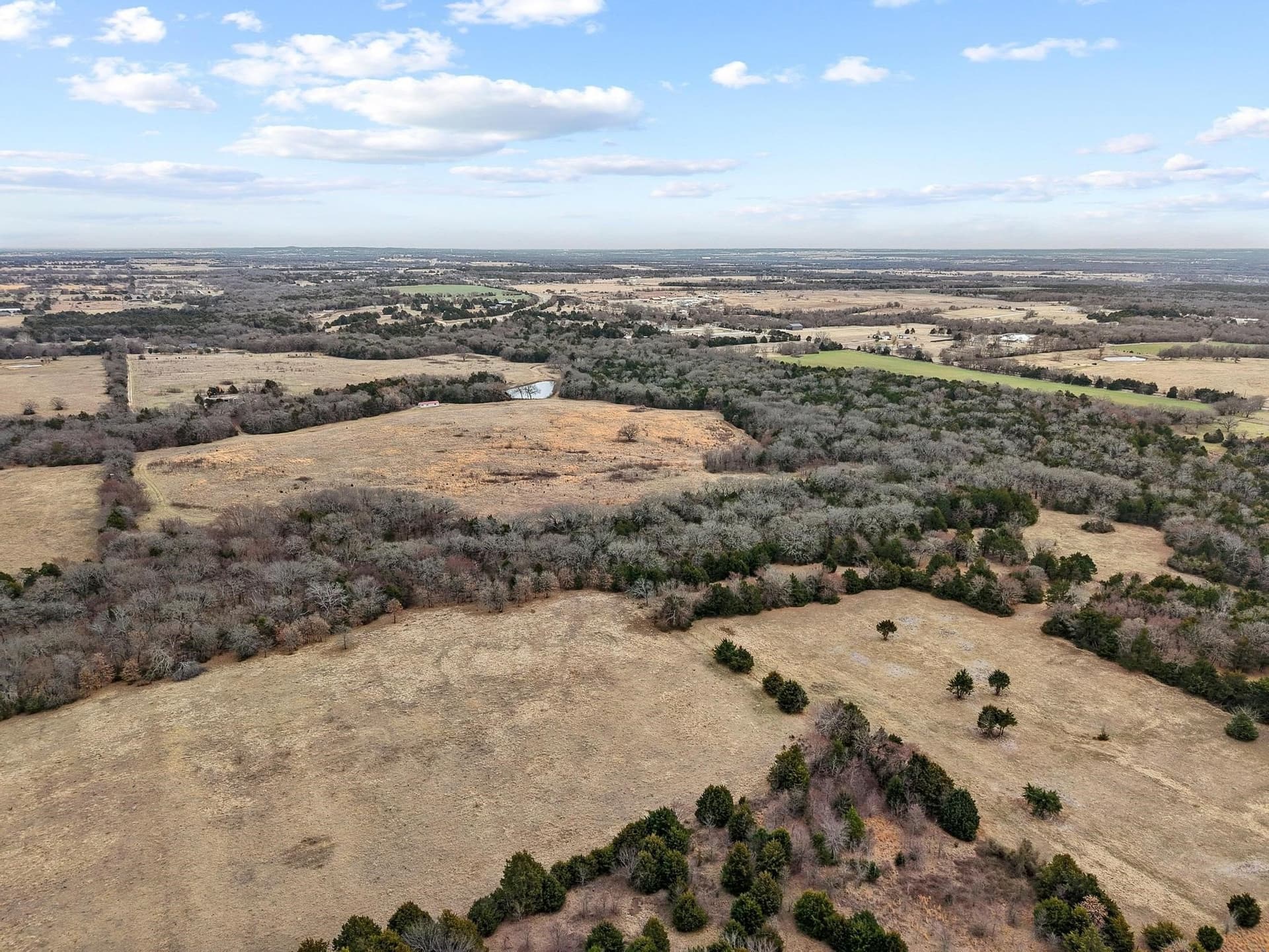 50.5 acres in Grayson County - photo 30