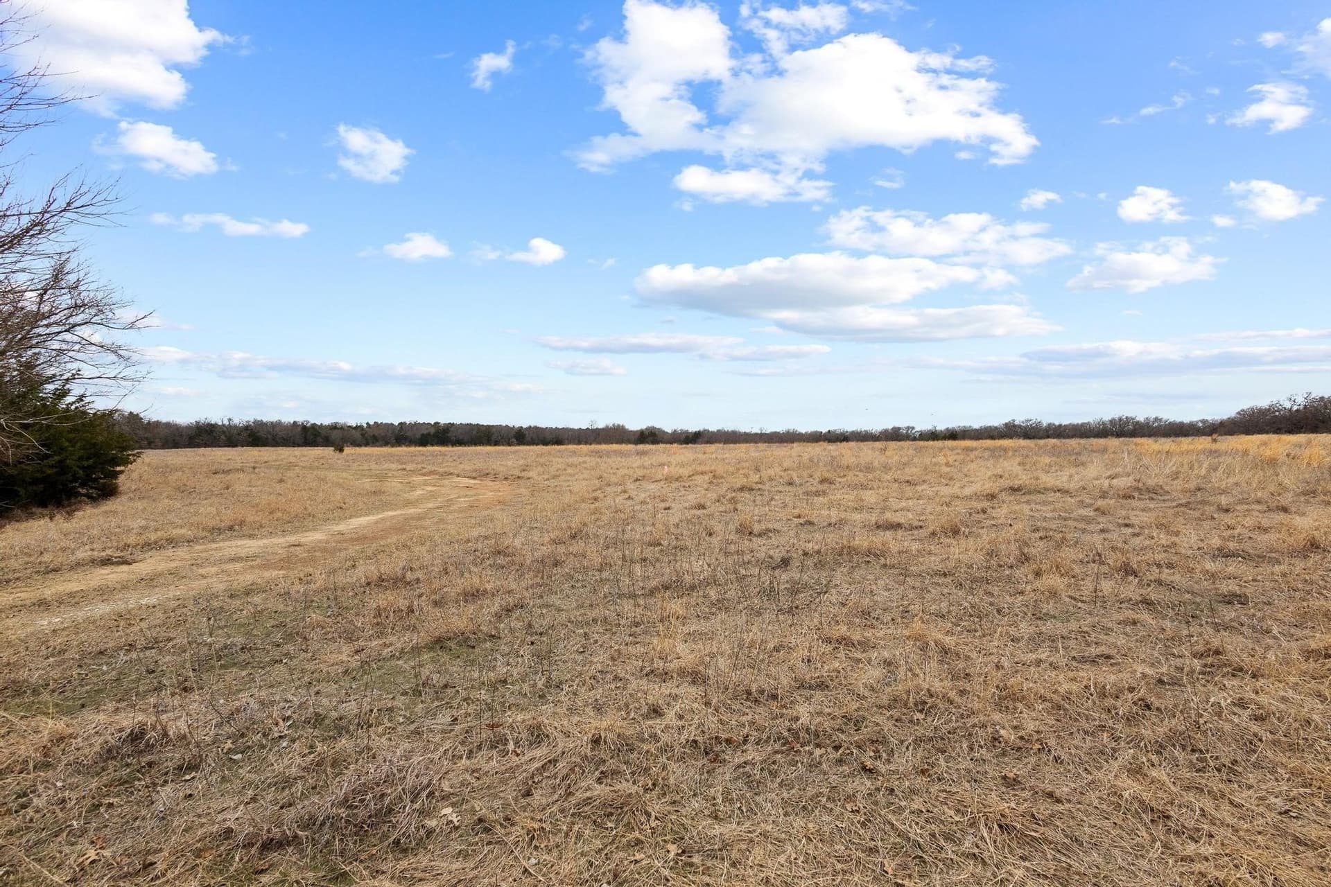50.5 acres in Grayson County - photo 21