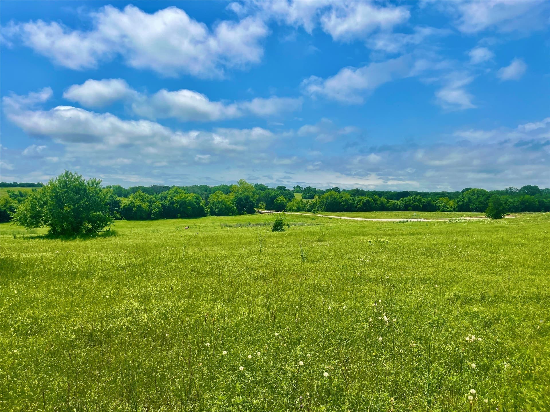 2.06 acres in Parker County - photo 2