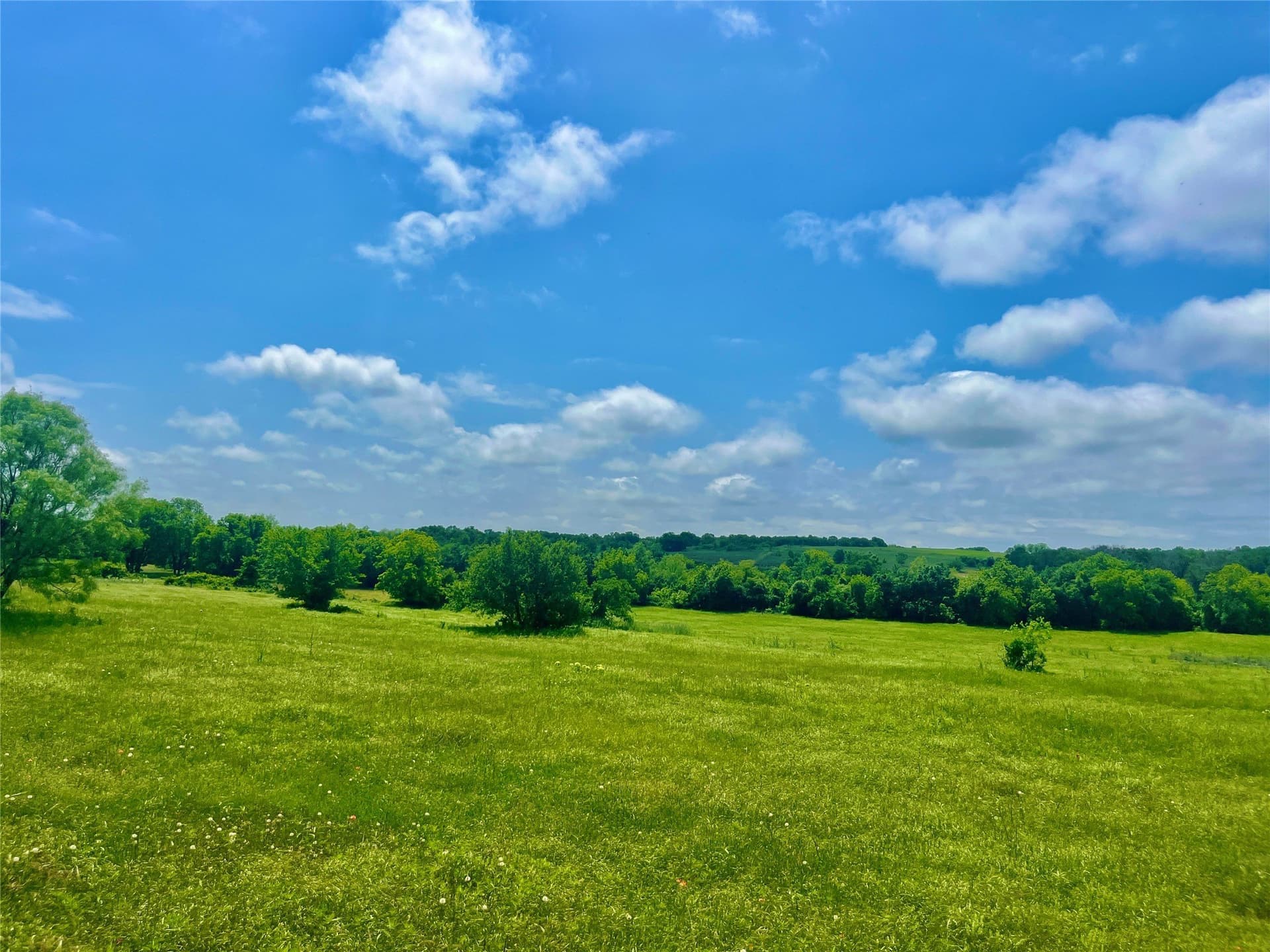 2.06 acres in Parker County - photo 3