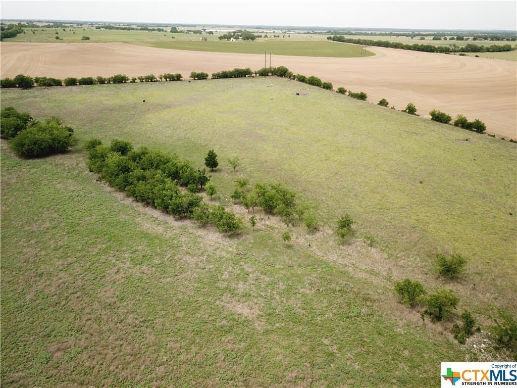 10.1 acres in Coryell County gallery image 4