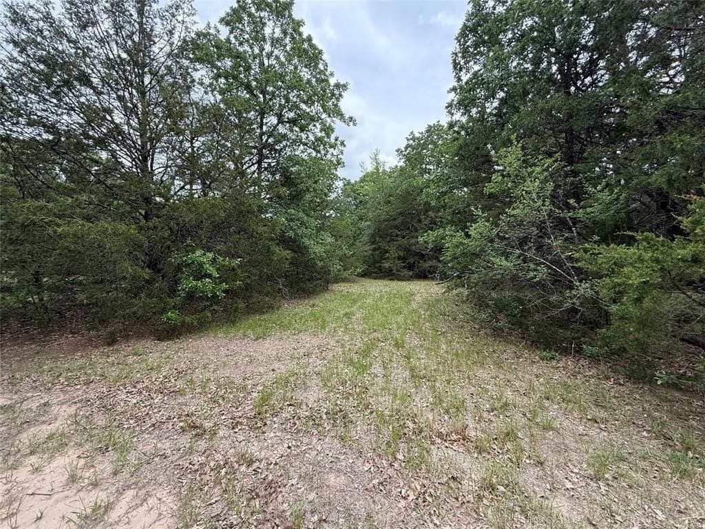 27 acres in Navarro County featured view