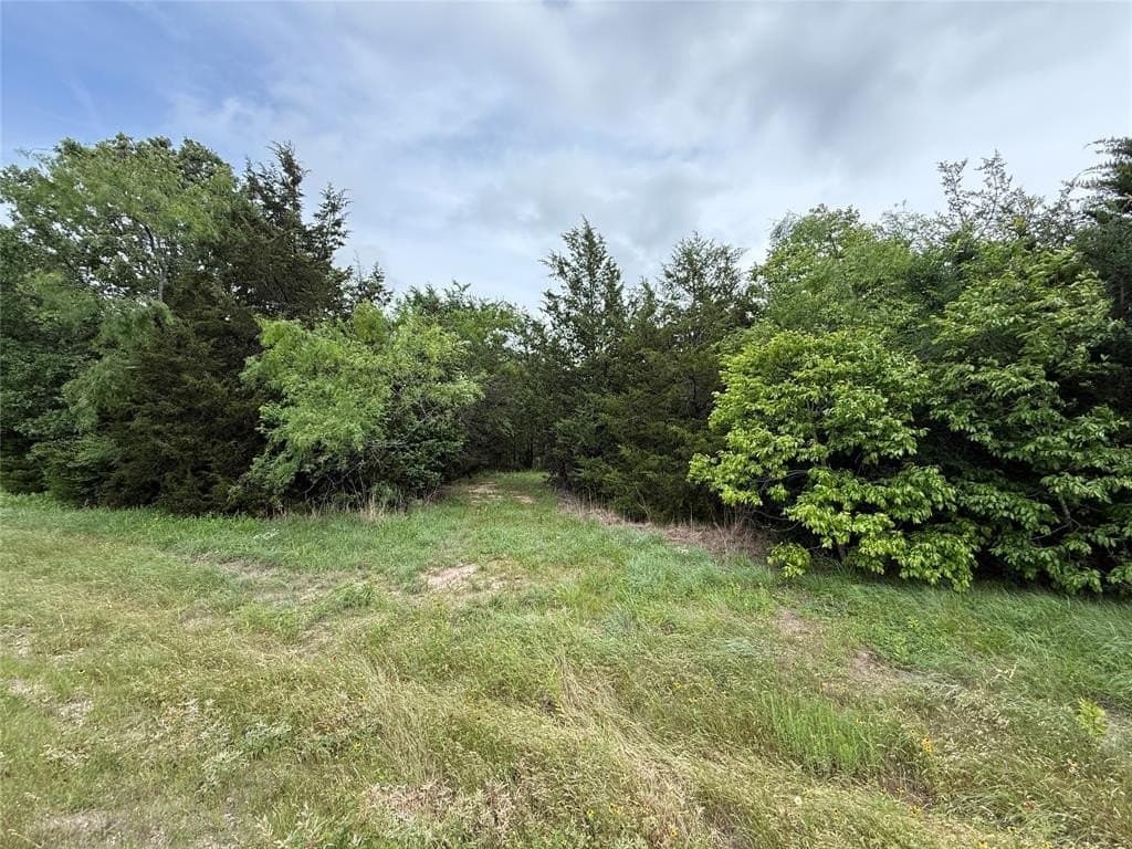 27 acres in Navarro County gallery image 4