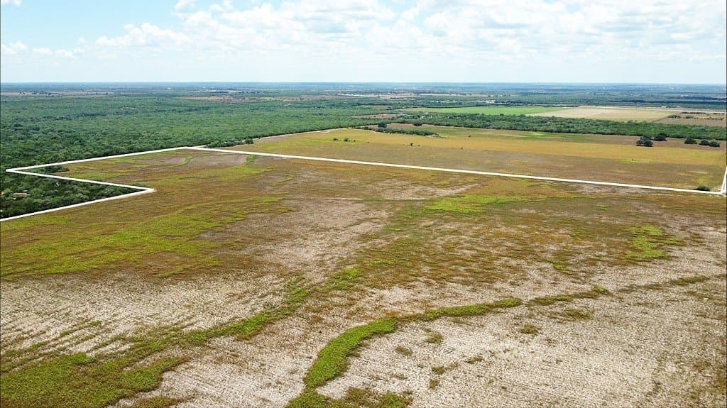 363.91 acres in Live Oak County - photo 9