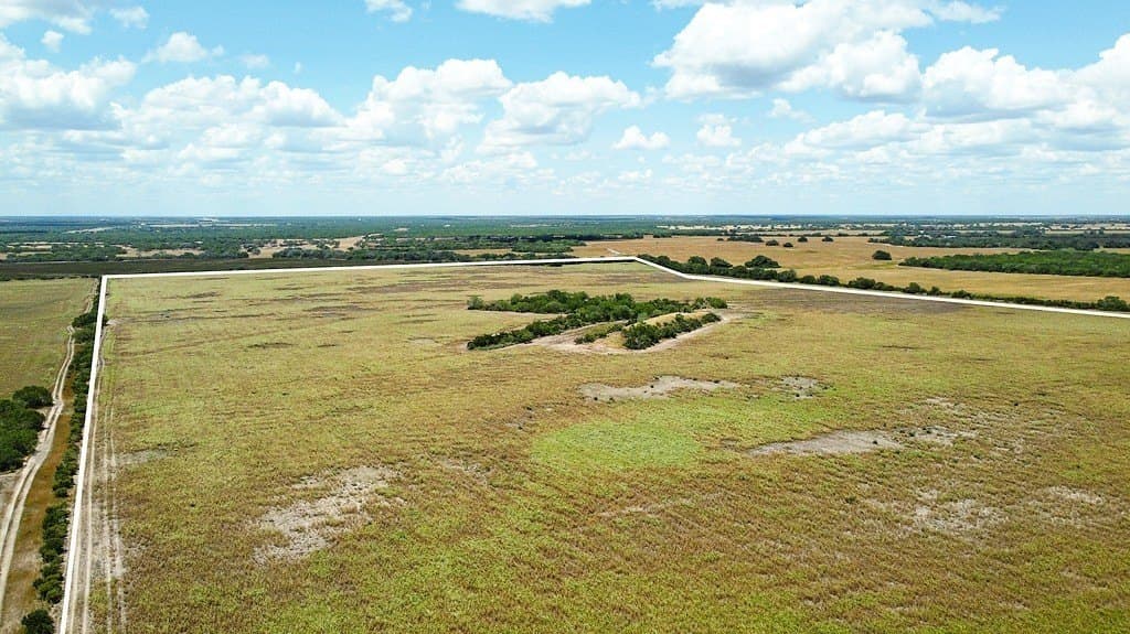 363.91 acres in Live Oak County - photo 6