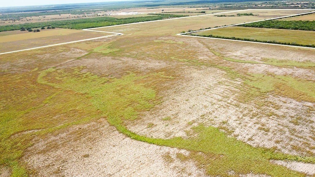 363.91 acres in Live Oak County - photo 10