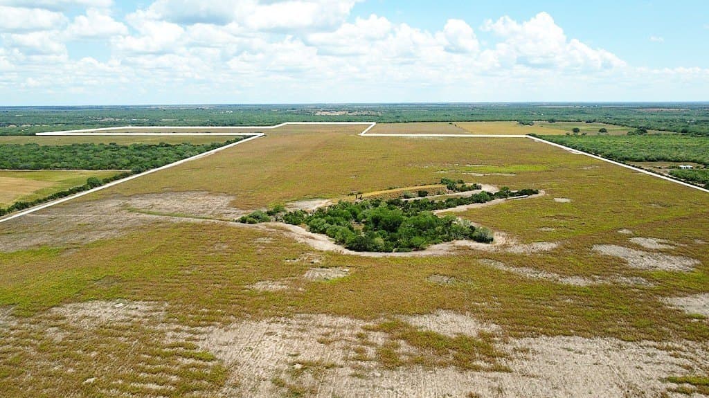 363.91 acres in Live Oak County - photo 8