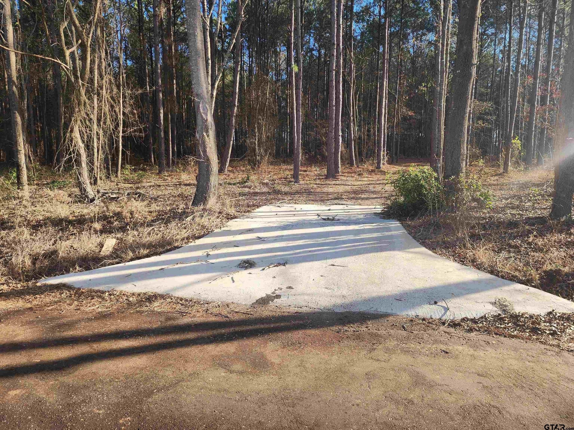 2 acres in Camp County gallery image 4