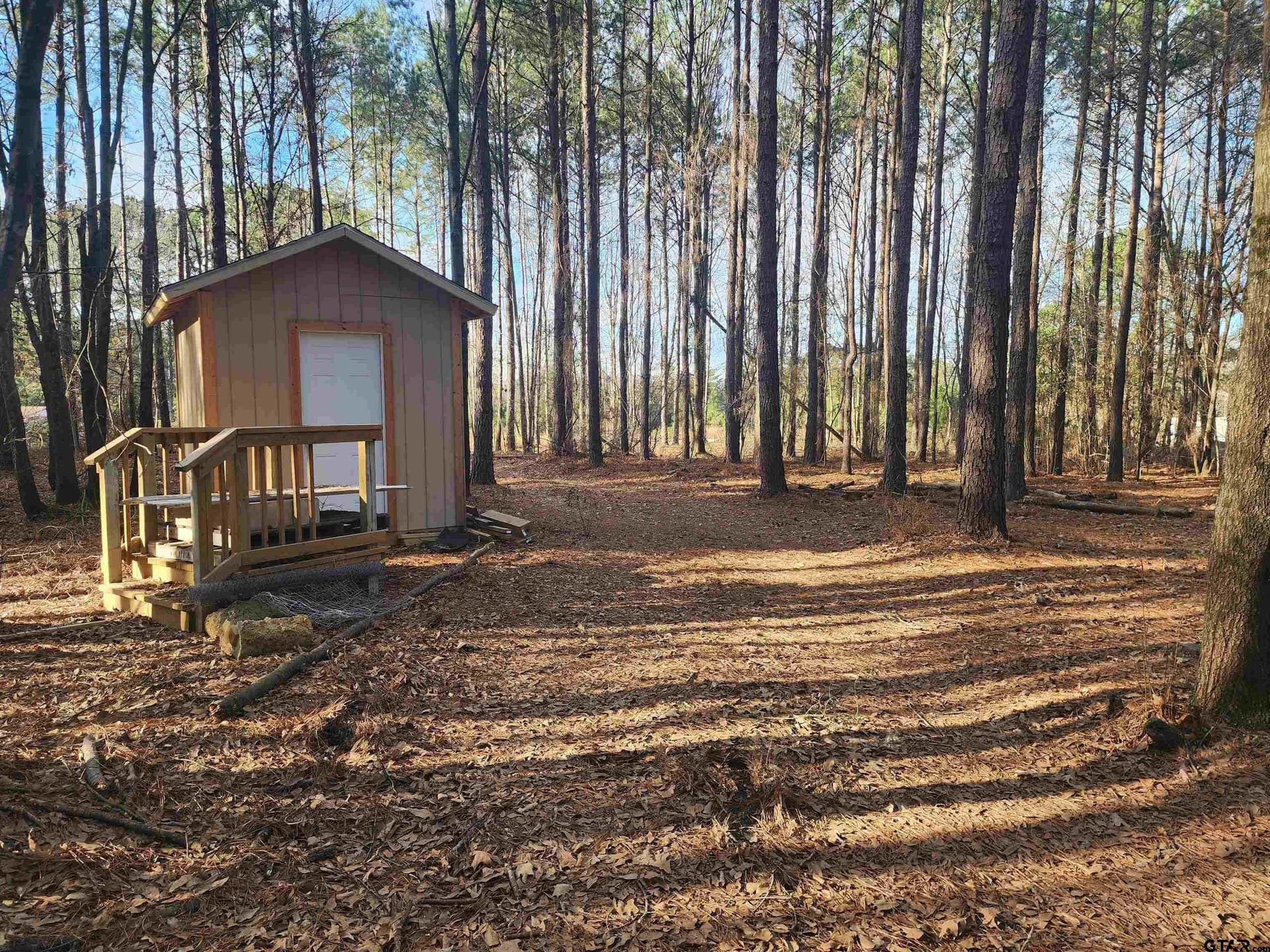 2 acres in Camp County gallery image 2