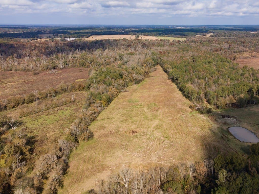 30.39 acres in Texas County - photo 49