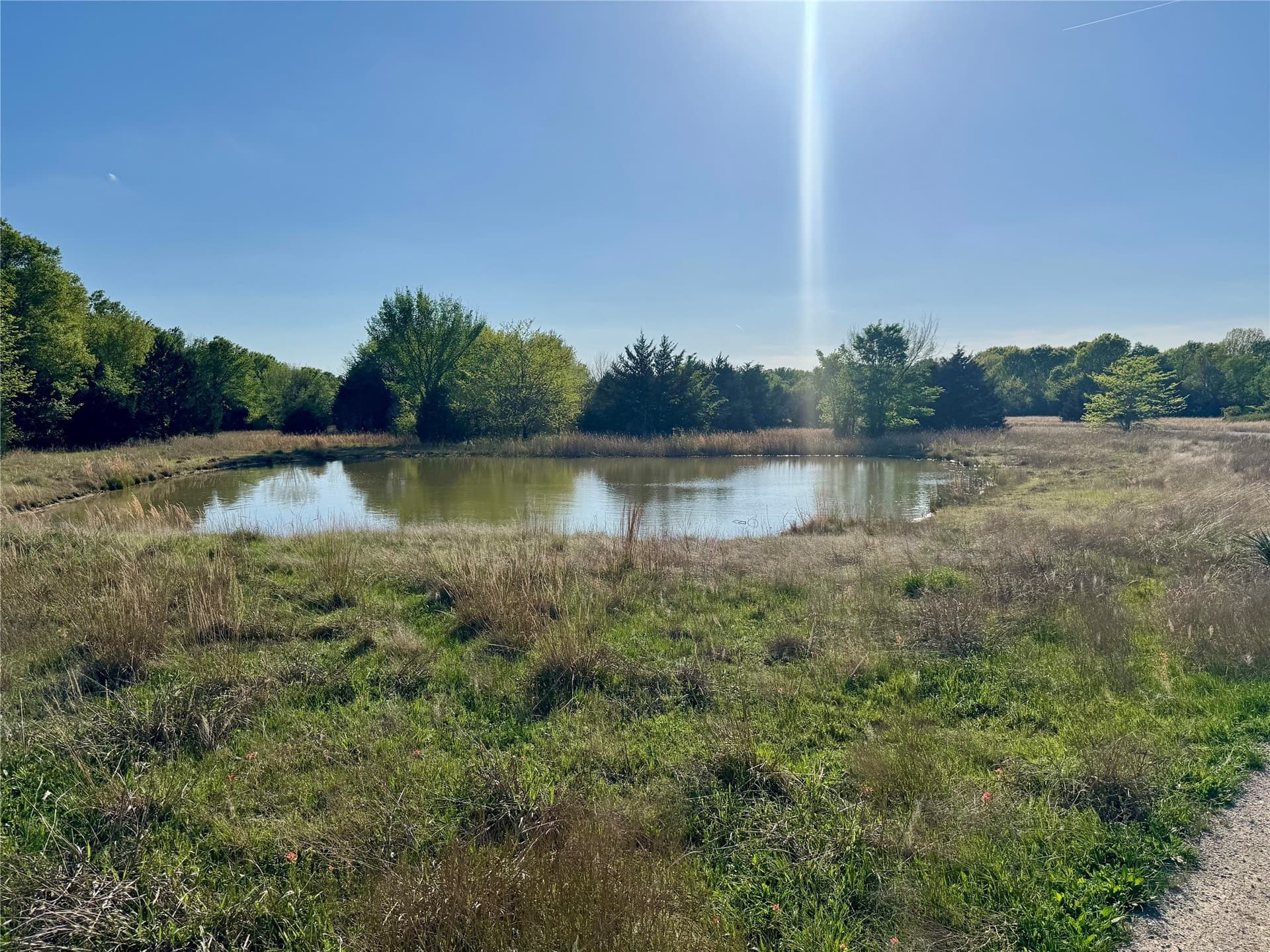 68.52 acres in Hunt County - photo 7