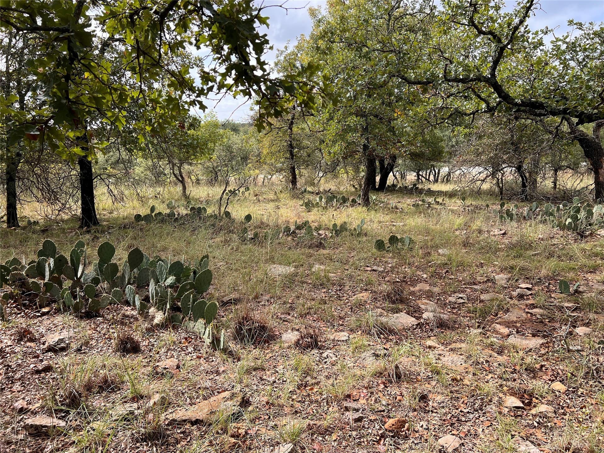 0.54 acres in Brown County - photo 7