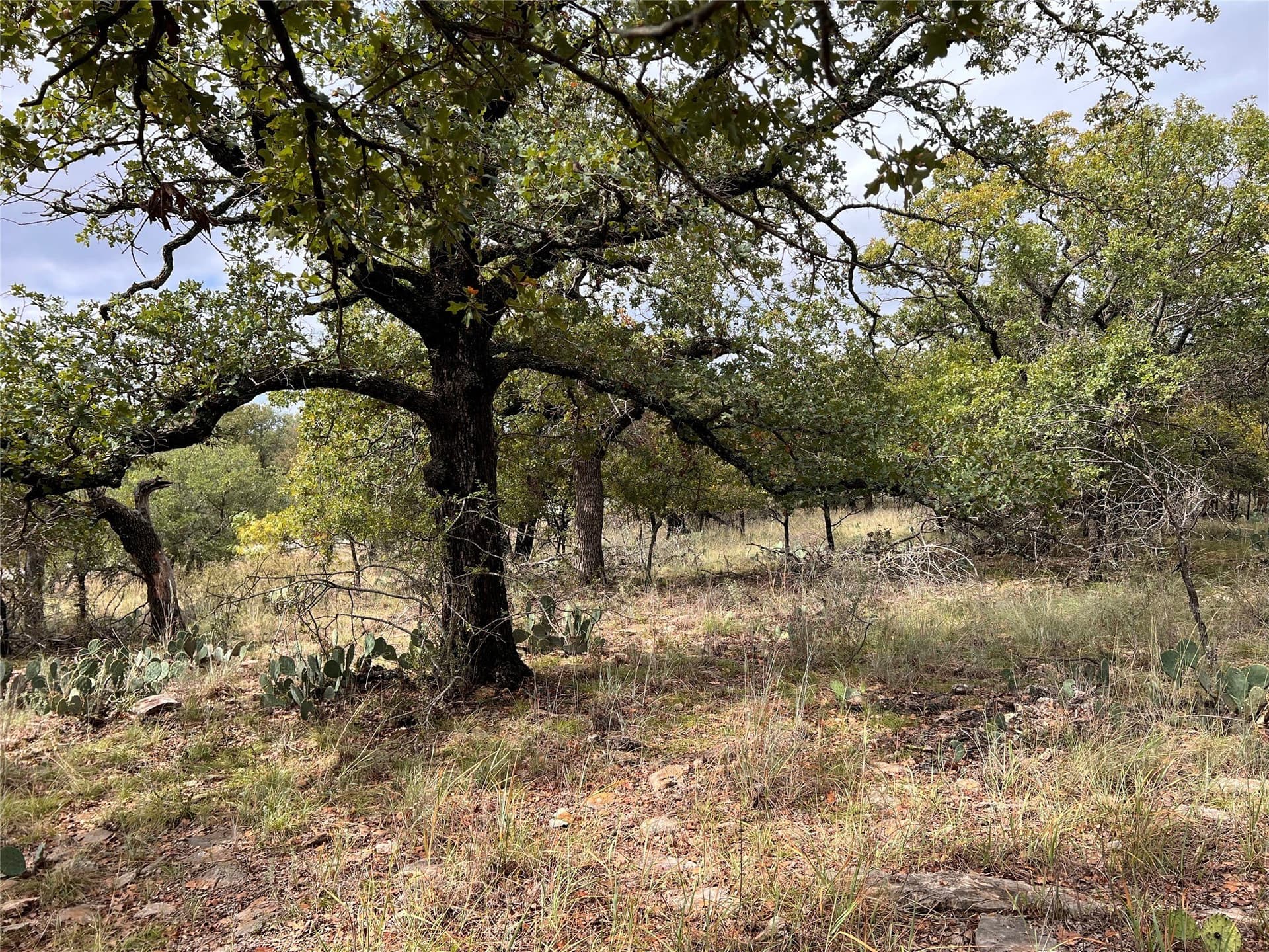 0.54 acres in Brown County - photo 8