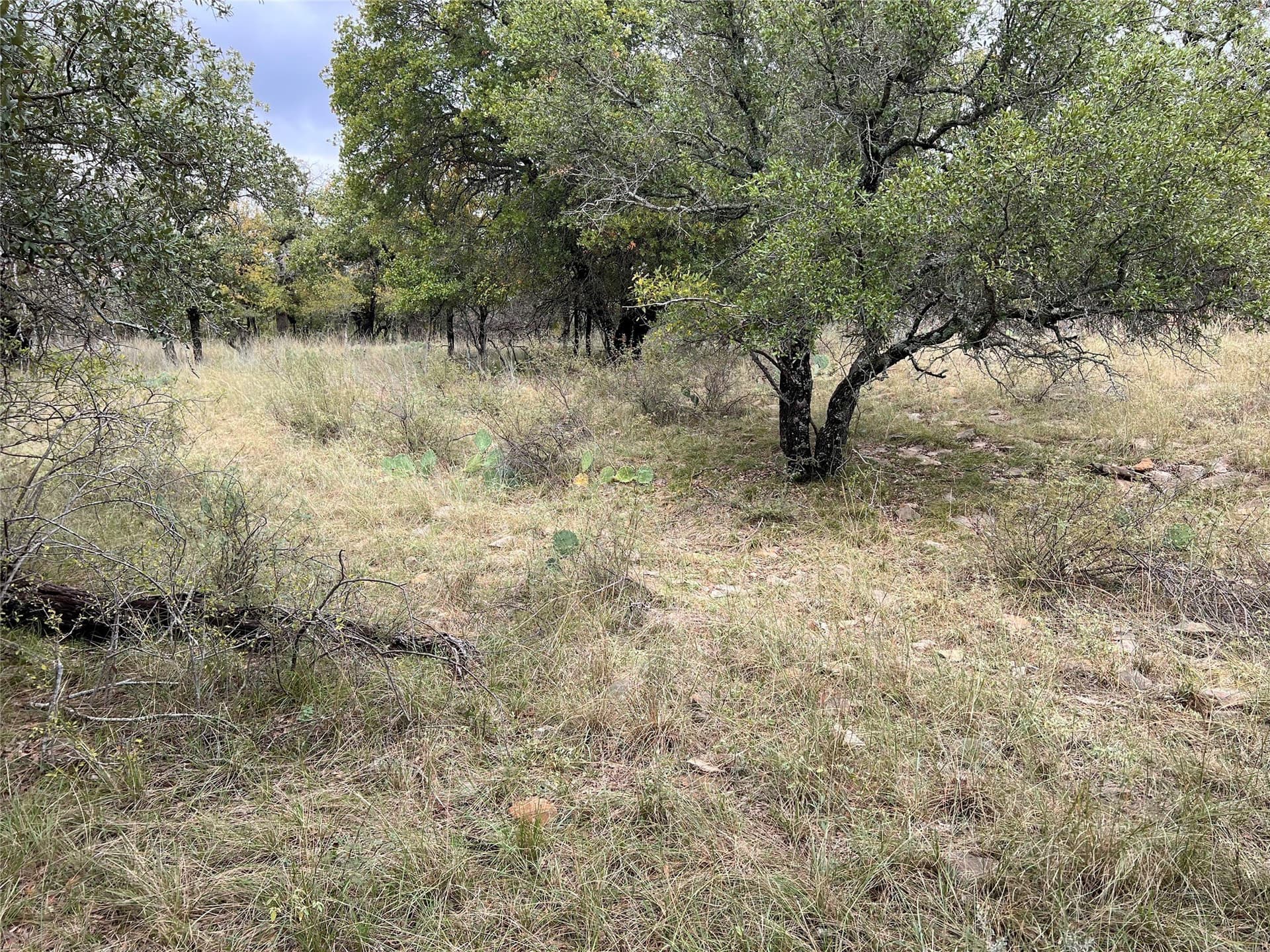 0.54 acres in Brown County gallery image 4