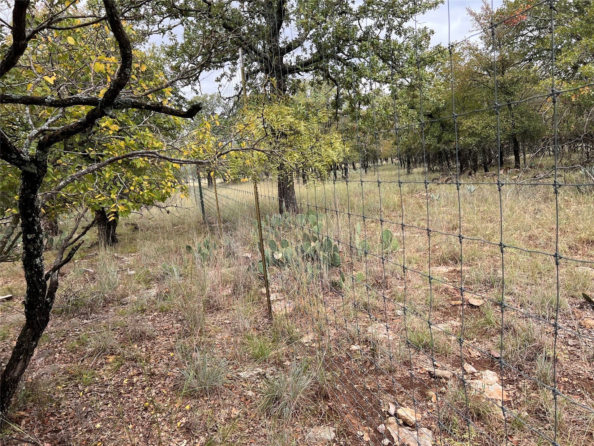 0.54 acres in Brown County - photo 10