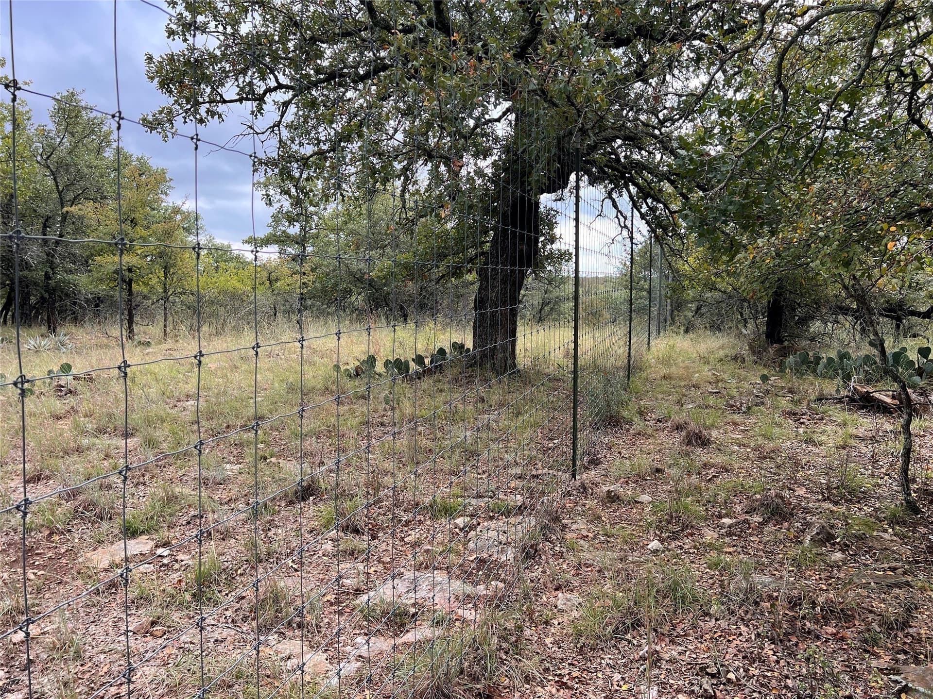 0.54 acres in Brown County - photo 9