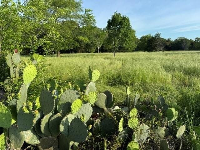 1 acres in Wood County gallery image 2