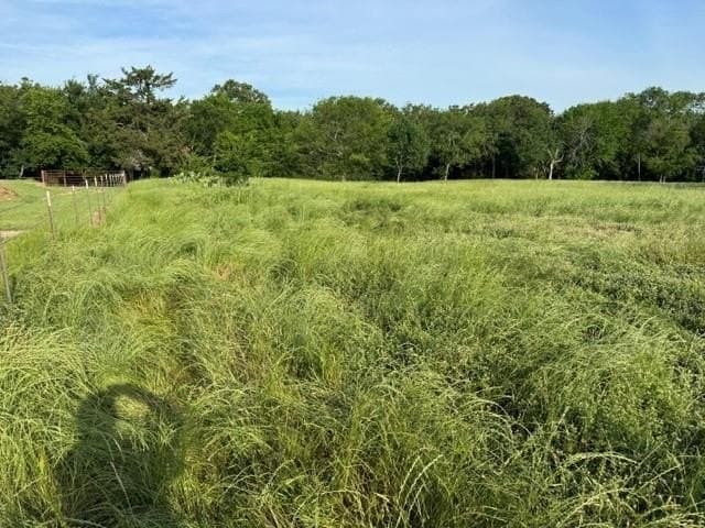 1 acres in Wood County featured view
