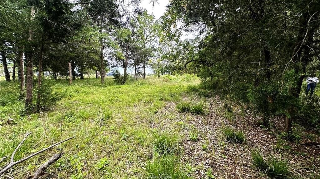 14.61 acres in Madison County featured view