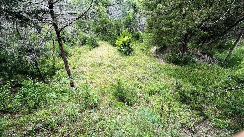 14.61 acres in Madison County gallery image 3