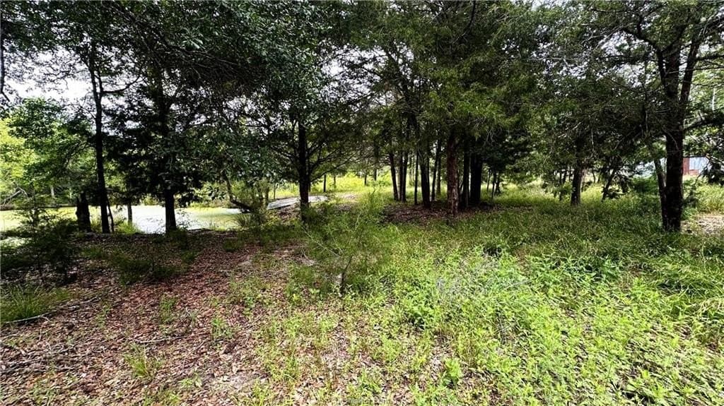 14.61 acres in Madison County gallery image 4