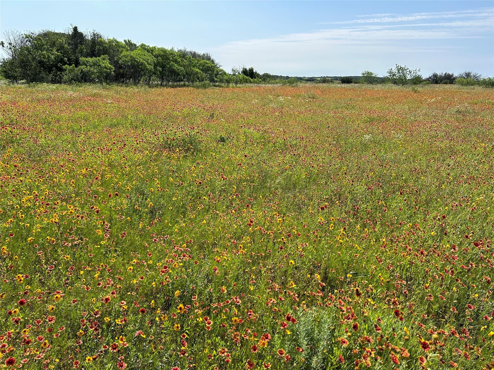 14.63 acres in Comanche County - photo 16