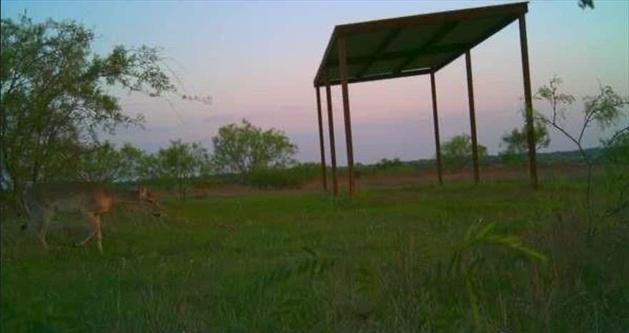 14.63 acres in Comanche County