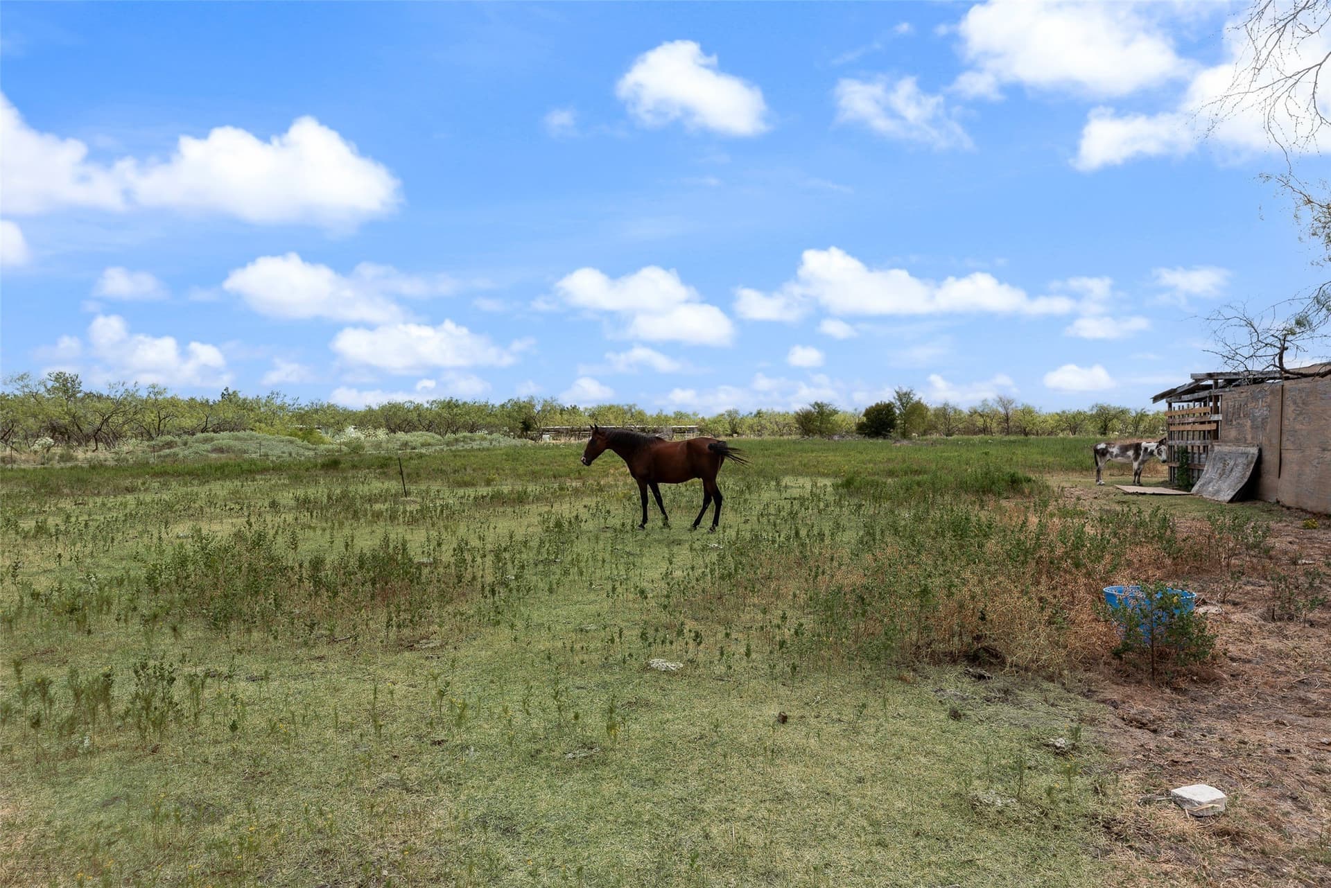 33.65 acres in Navarro County - photo 21