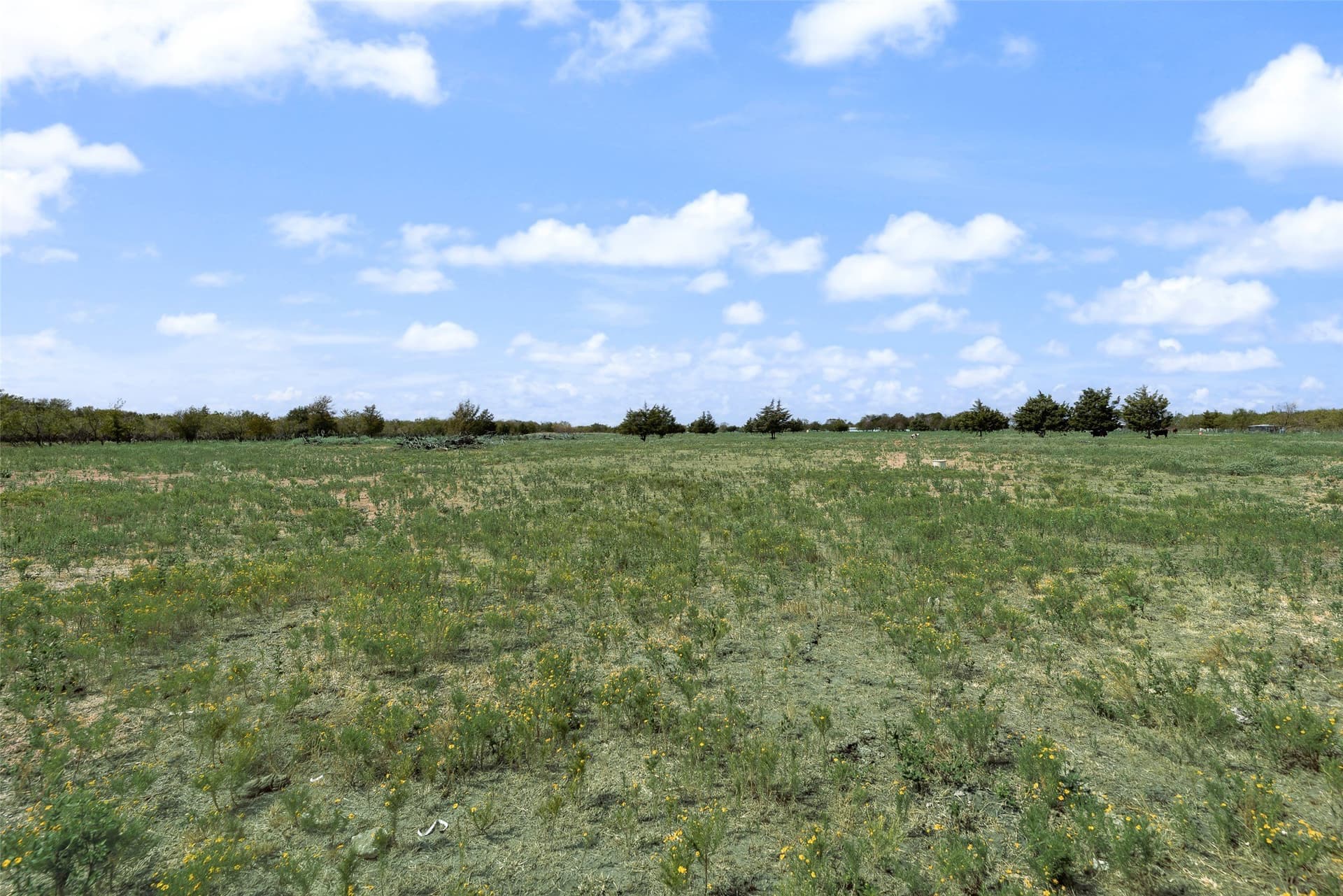 33.65 acres in Navarro County - photo 32