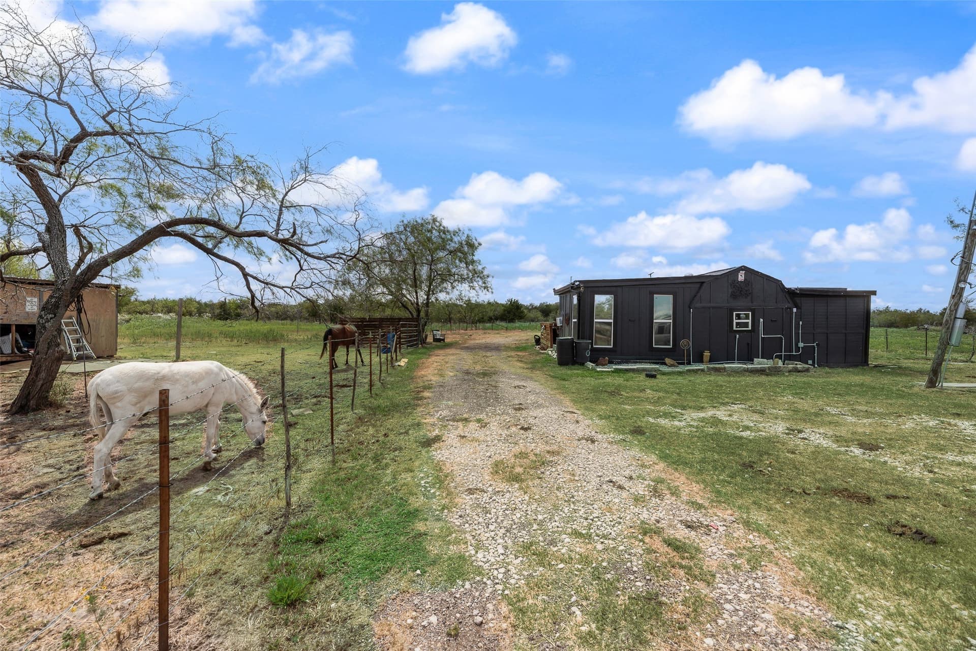 33.65 acres in Navarro County - photo 15