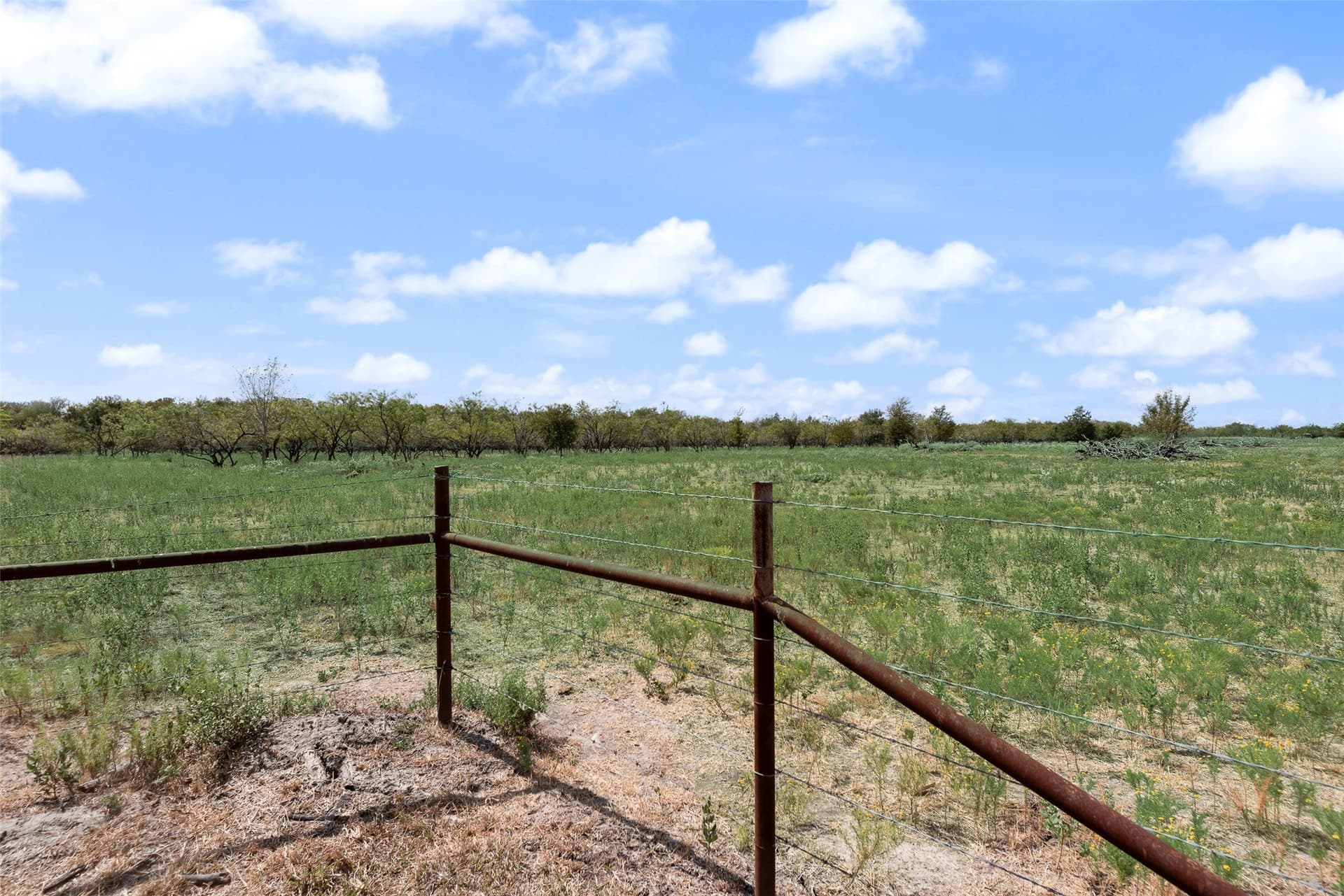 33.65 acres in Navarro County - photo 33