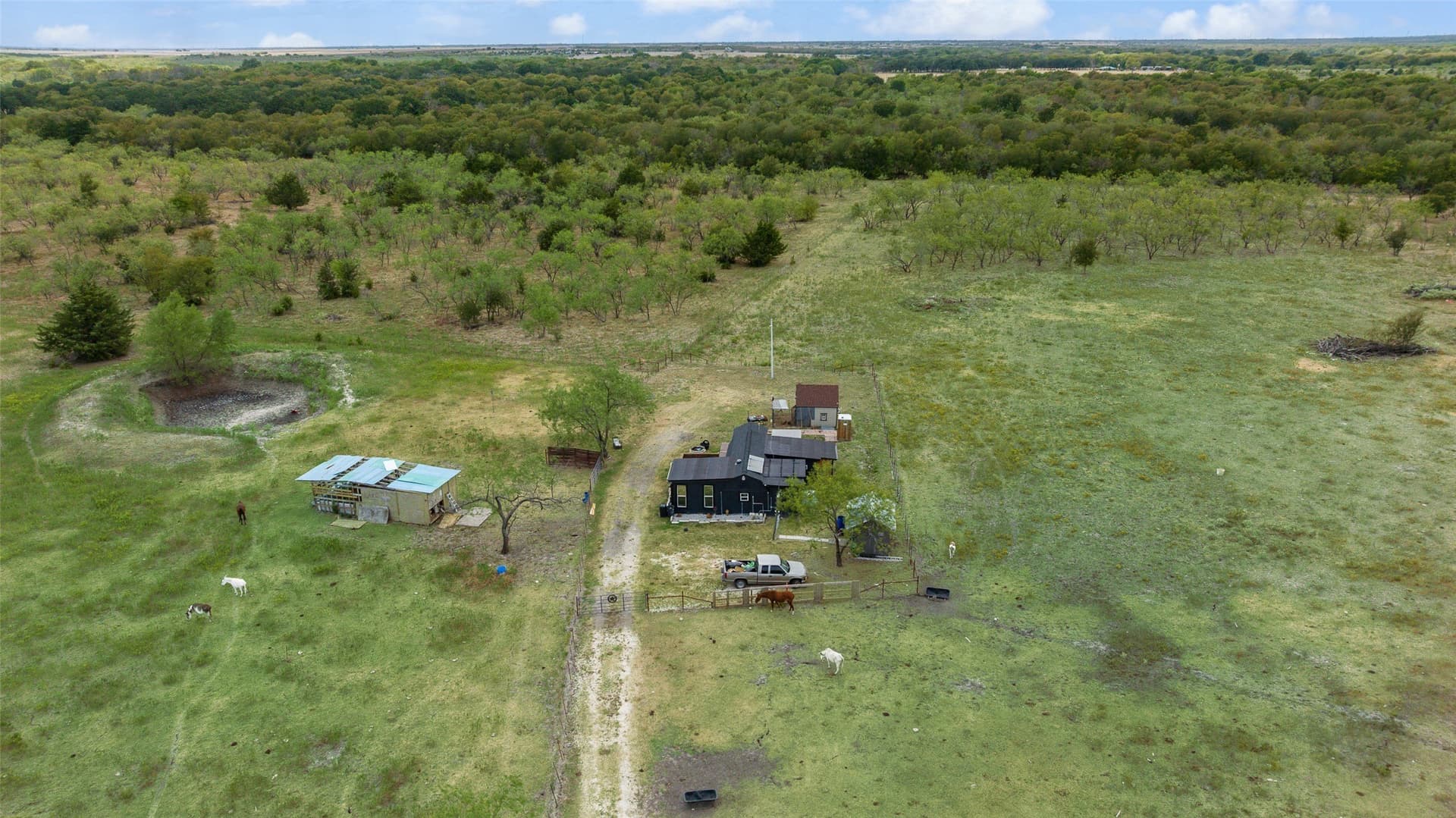 33.65 acres in Navarro County - photo 7