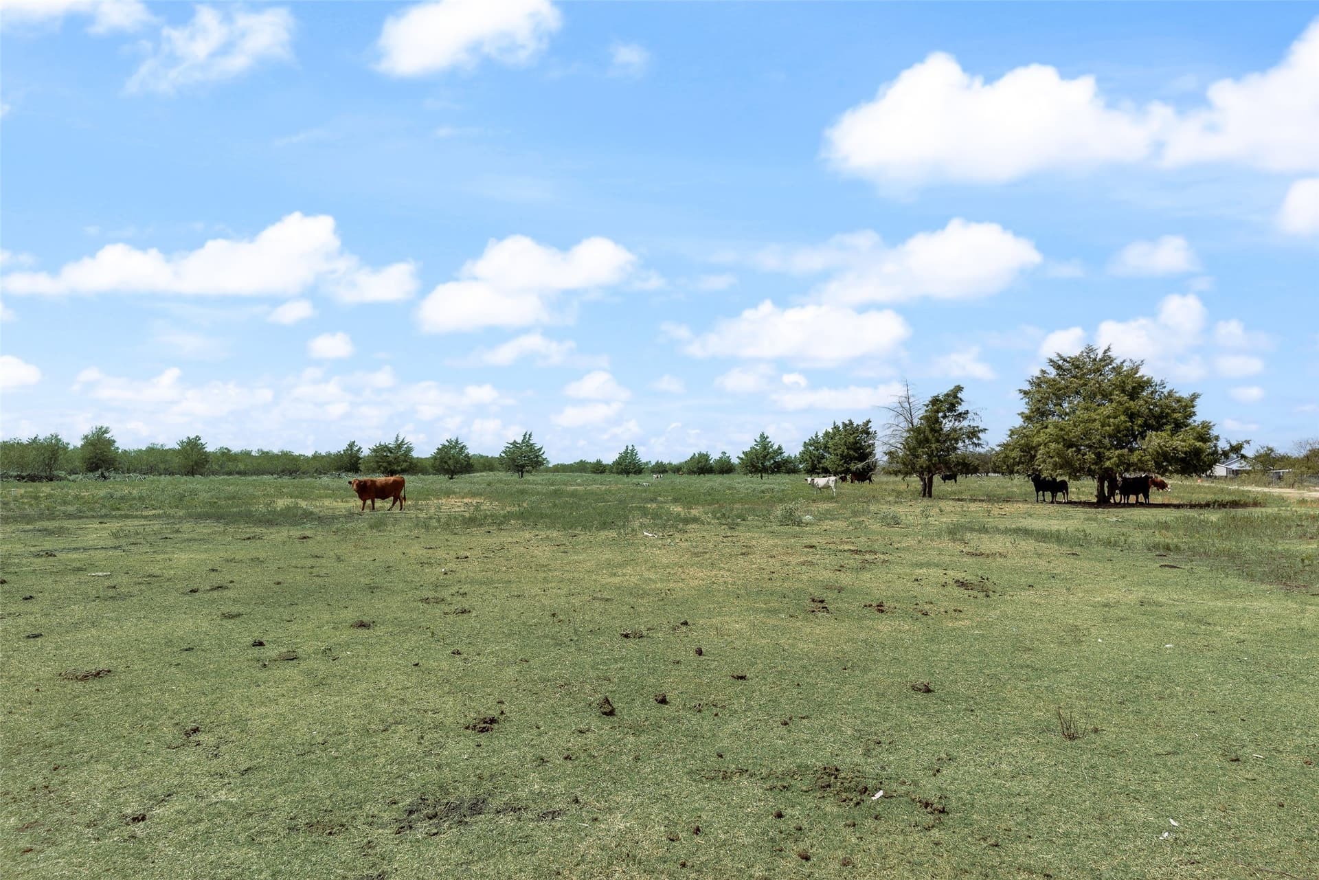 33.65 acres in Navarro County - photo 35