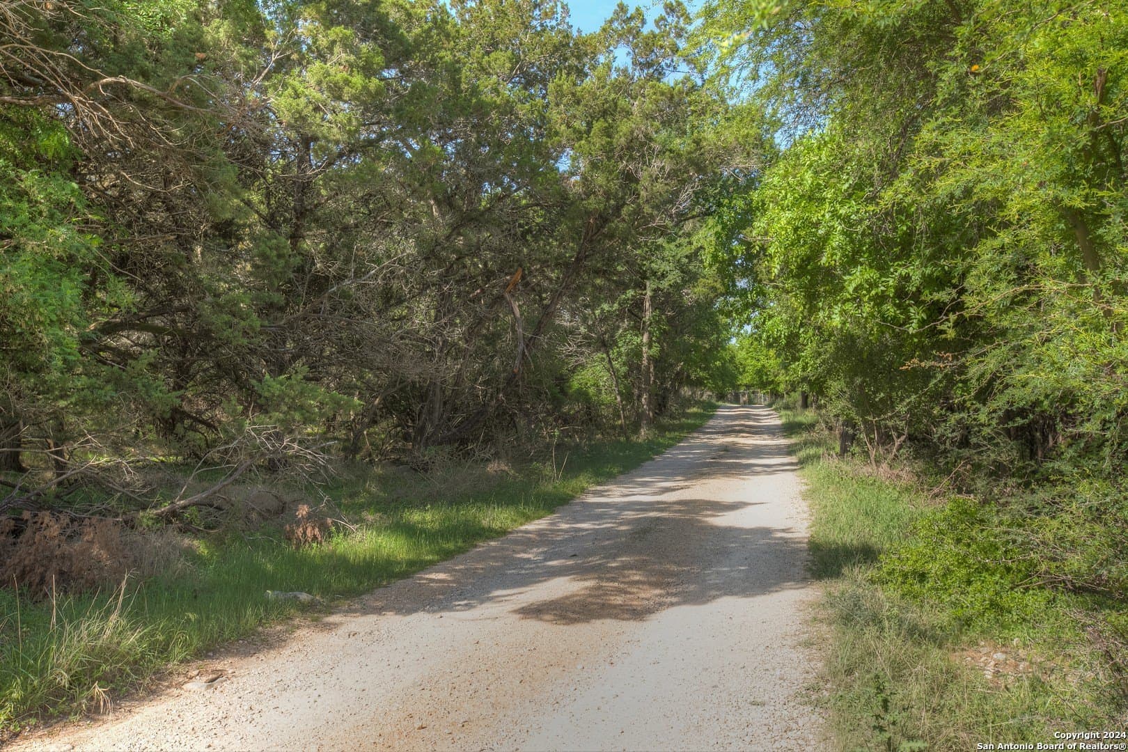 1 acres in Comal County - photo 16
