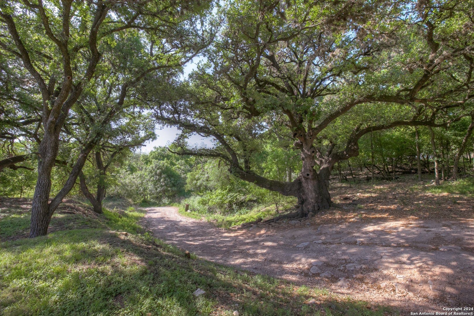 1 acres in Comal County - photo 20
