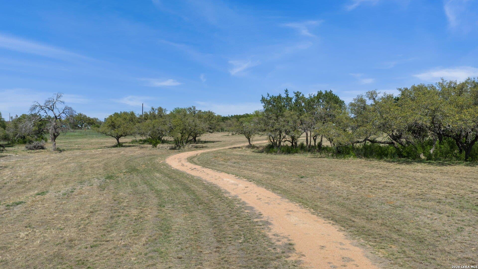 18.86 acres in Blanco County gallery image 4