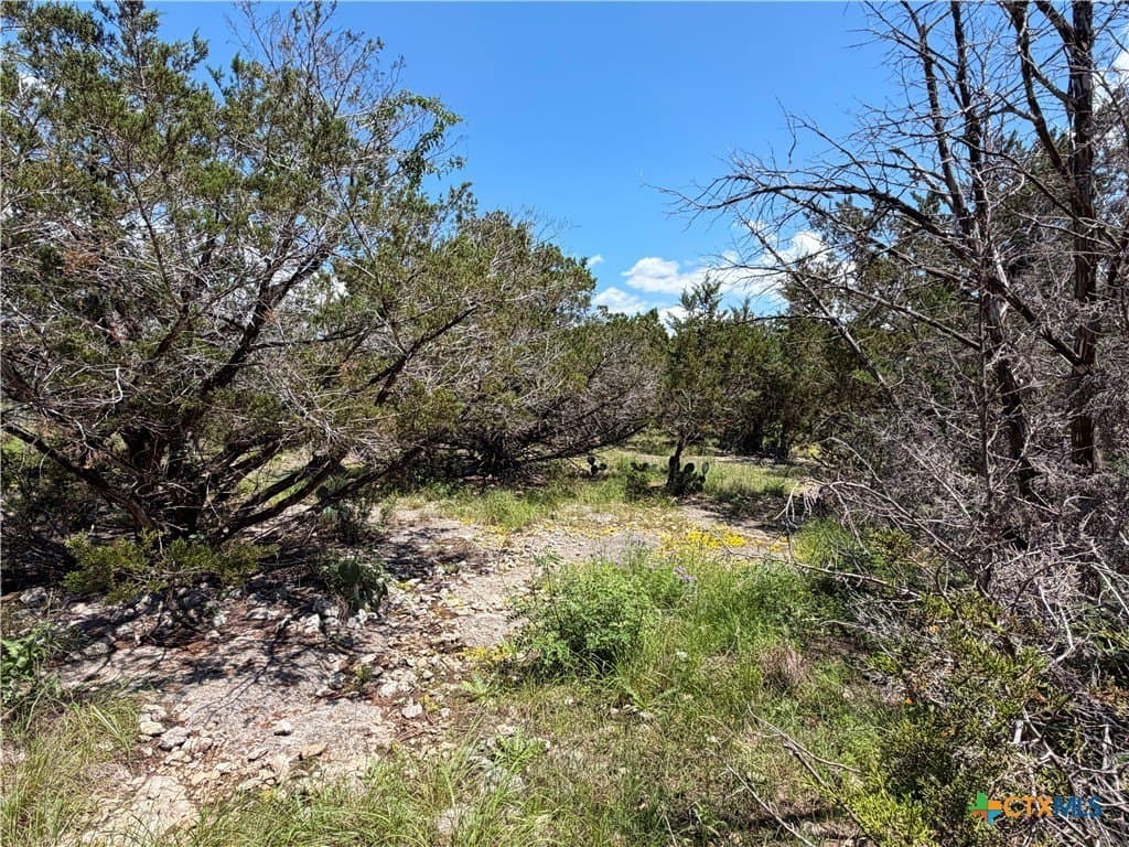 0.13 acres in Comal County - photo 12