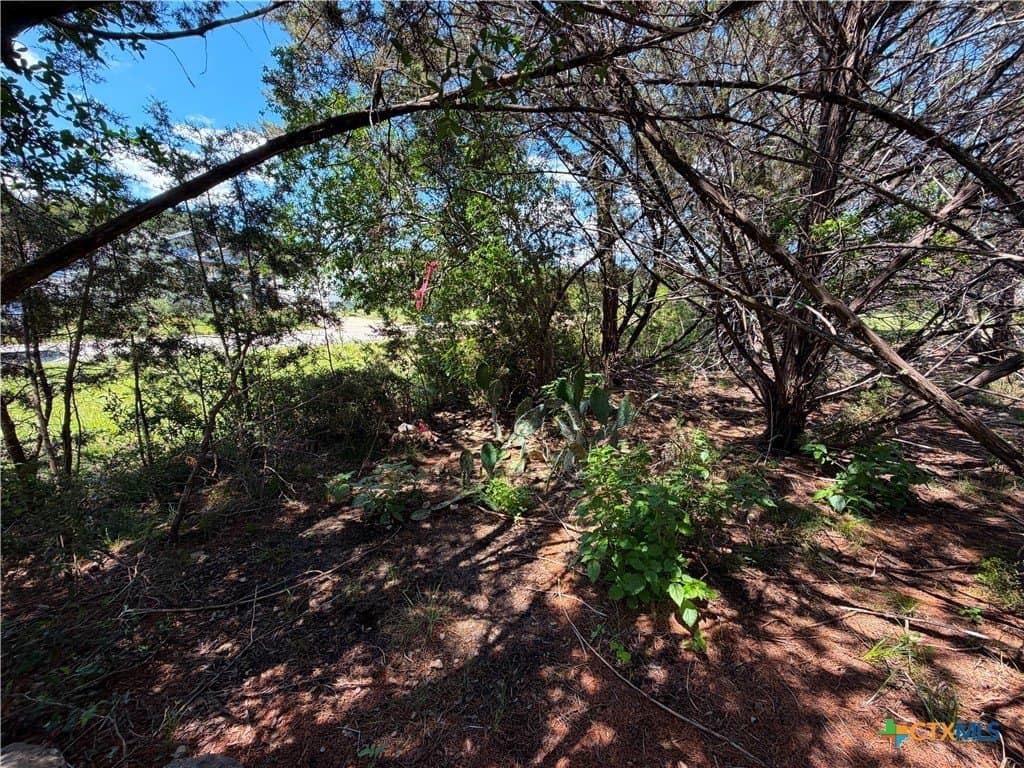 0.13 acres in Comal County featured view
