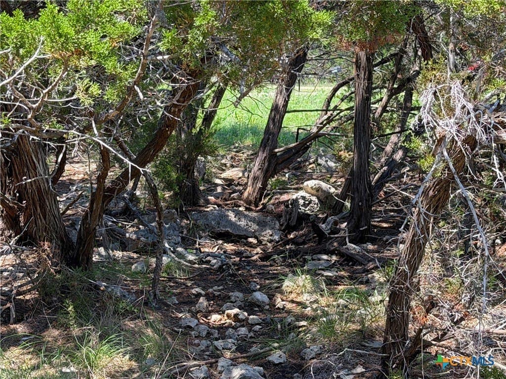 0.13 acres in Comal County - photo 15